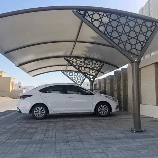 صورة المقال