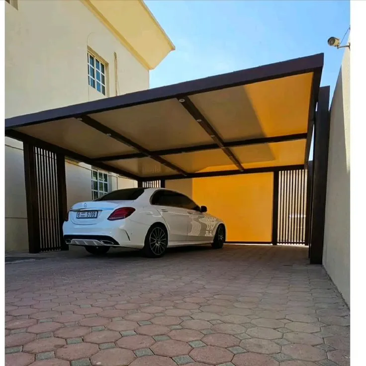 صورة المقال
