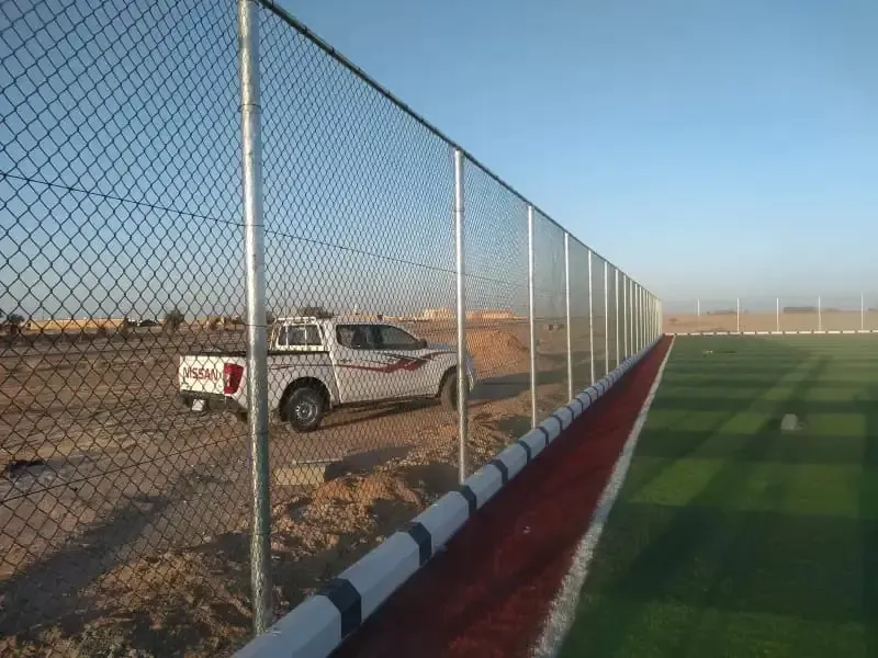 صورة المقال