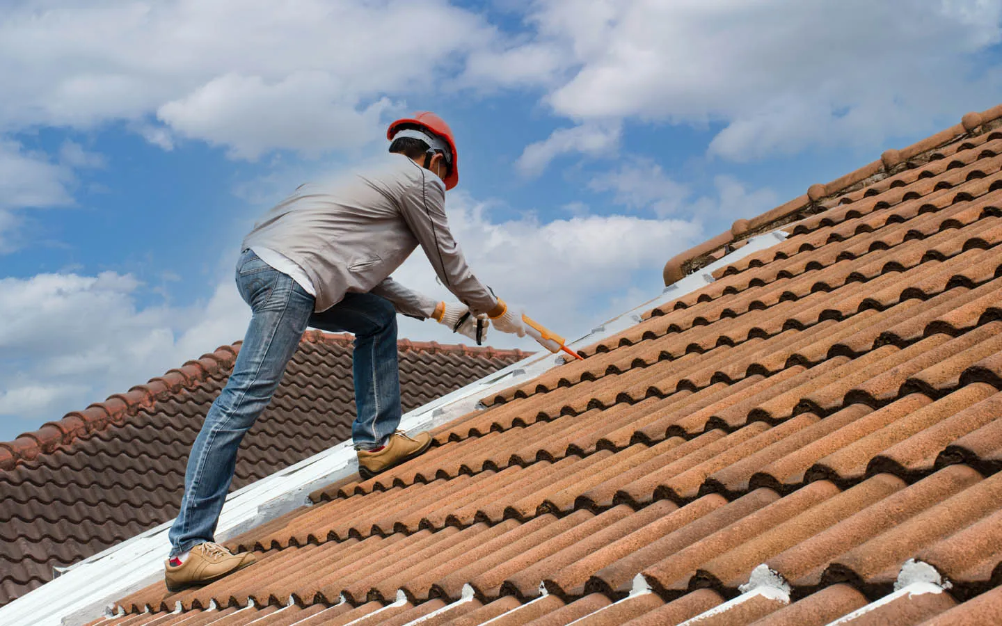 صورة المقال