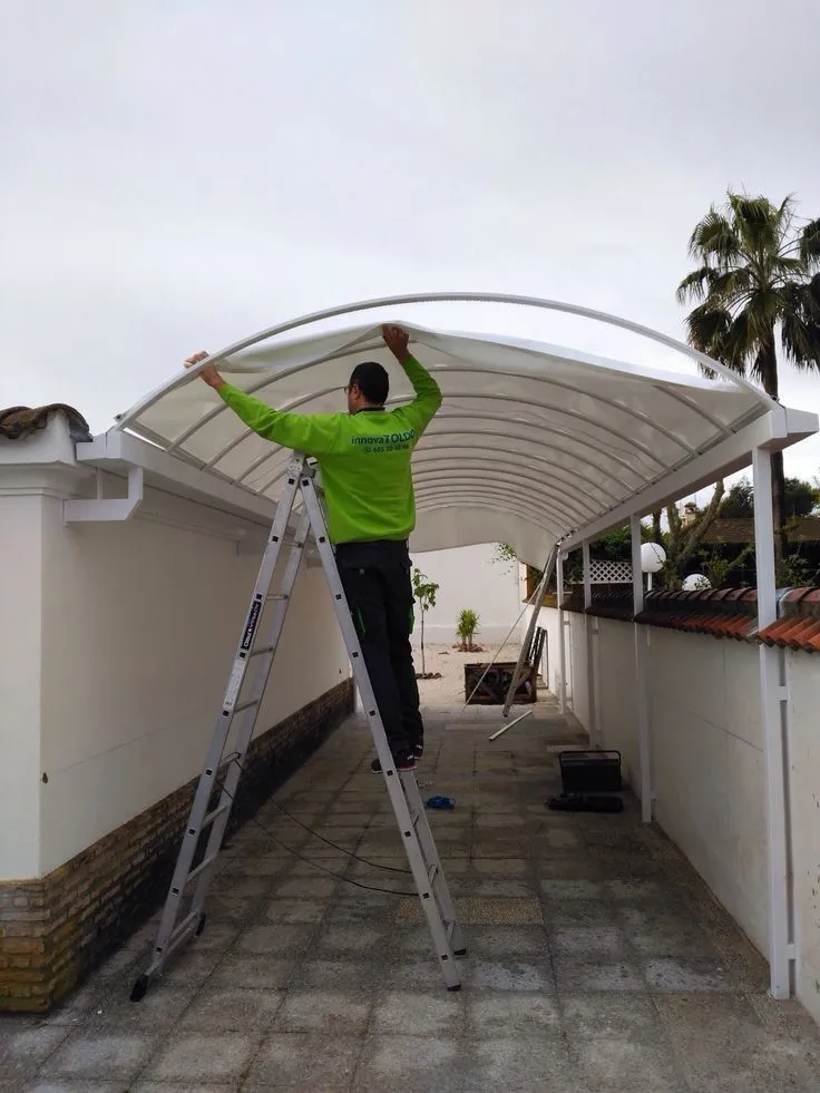 صورة المقال