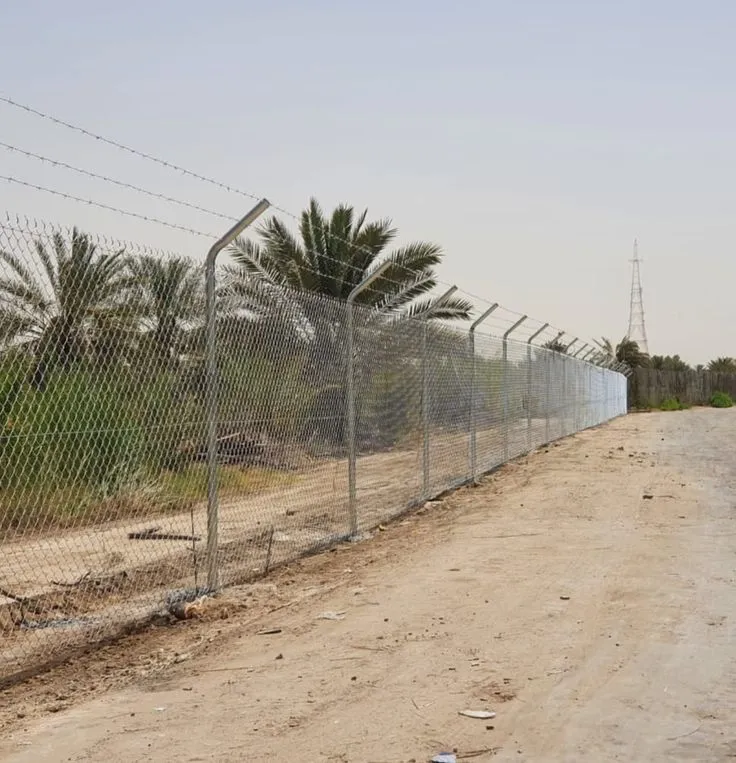 صورة المقال