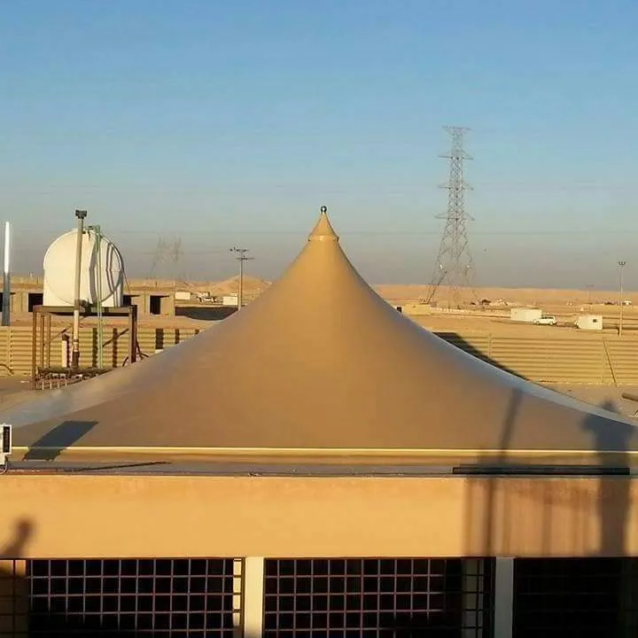 صورة المقال